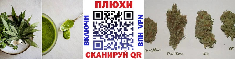 маркетплейс как зайти  Цоци-Юрт  Cannafood конопля 