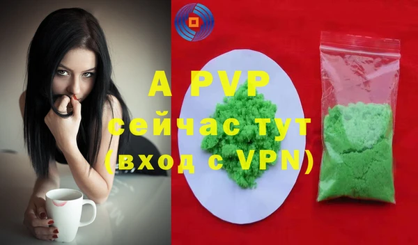 apvp Алзамай