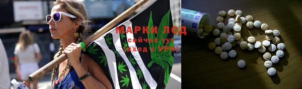 стаф Алексин