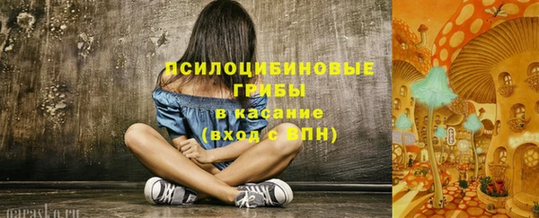 apvp Алзамай