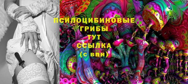 марихуана Абаза