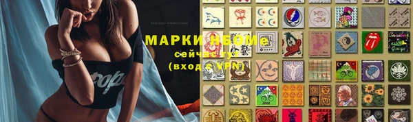 стаф Алексин